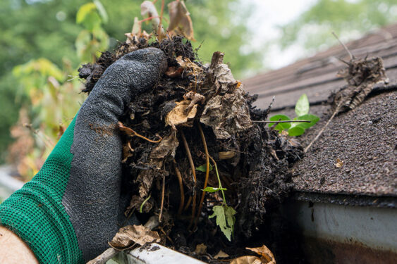 Gutter Cleaning