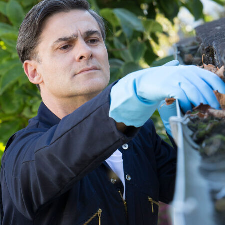 Gutter Cleaning Gutter Cleaning